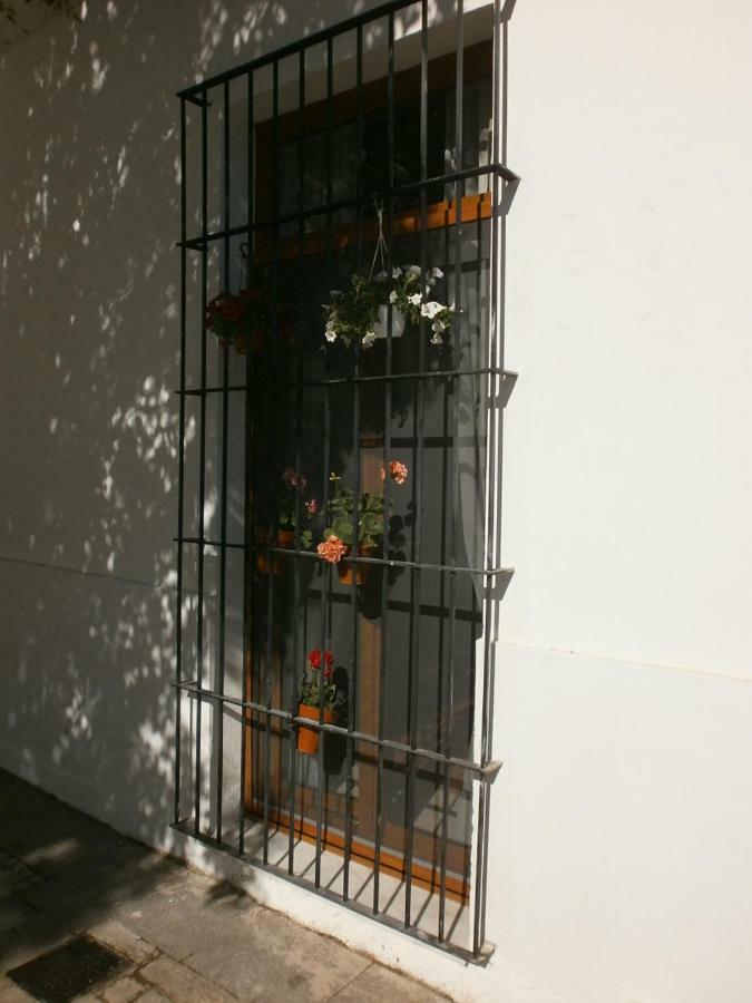 Casa En Plaza De La Merced_Centro Flamenco_Cádiz Exteriör bild